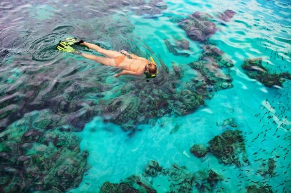 House Reef Snorkelling